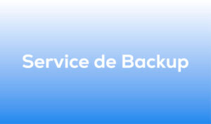 Combien êtes-vous prêts à payer pour récupérer vos données ? Combien êtes-vous prêts à payer pour récupérer vos données ?